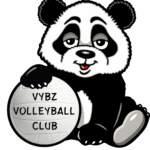 VYBZ VC LOGO